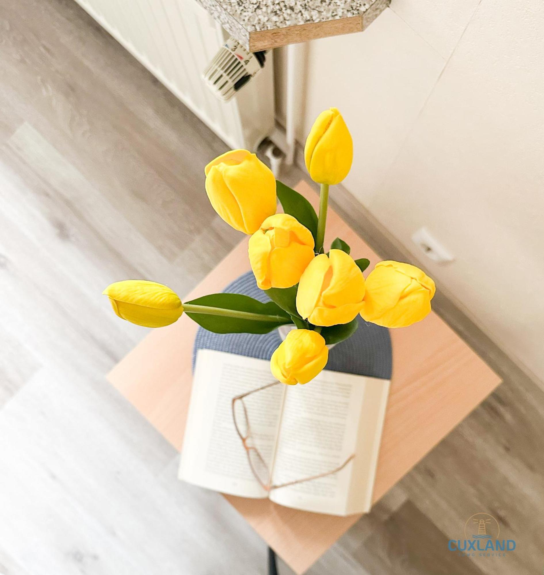 קושהאבן Ferienhaus Bungalow Nahe Kurpark Doese מראה חיצוני תמונה